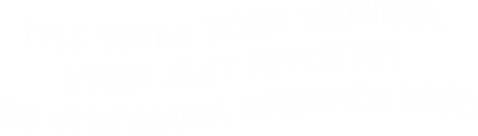Tyle dobra dzięki wapniowi, który jest potrzebny do utrzymania zdrowych kości